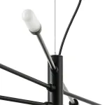 Подвесная люстра Lightstar Ragno 733187 