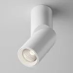 Настенный светильник Maytoni Dafne C027CL-L10W4K