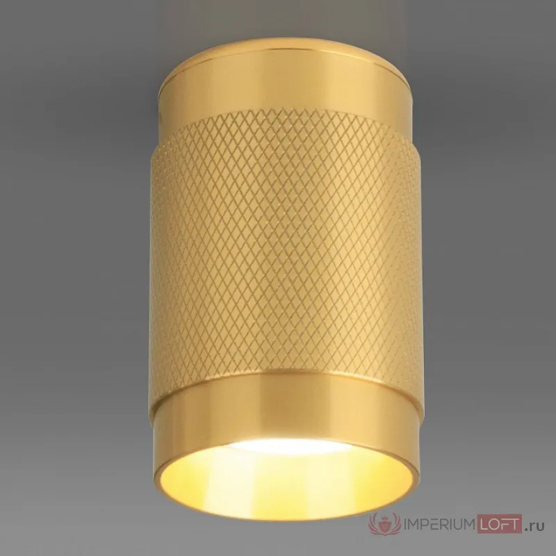 Накладной светильник Elektrostandard DLN109 a047741 Цвет плафонов золото Цвет арматуры золото от ImperiumLoft
