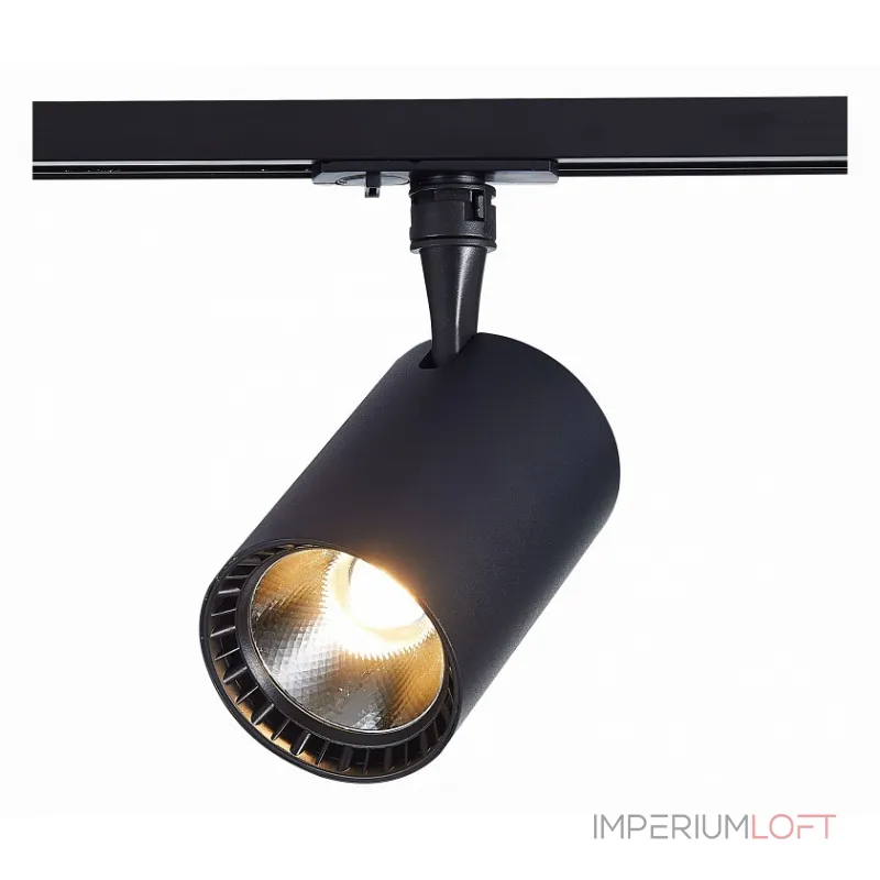 Светильник на штанге ST-Luce Cami ST351.446.20.36 Цвет арматуры черный Цвет плафонов черный