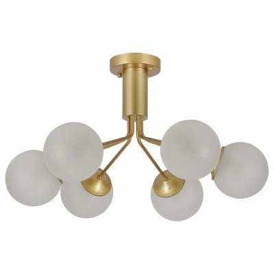 Потолочная люстра F-promo Pax 2631-6U 