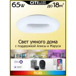 Накладной светильник Citilux Стратус Смарт CL732A520G от ImperiumLoft