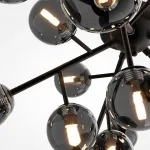Потолочная люстра Maytoni MOD545CL-20B