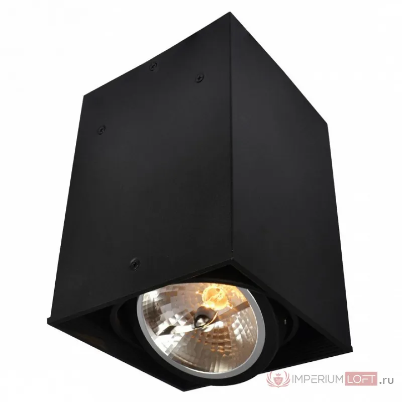 Накладной светильник Arte Lamp Cardani A5936PL-1BK Цвет арматуры черный Цвет плафонов черный от ImperiumLoft