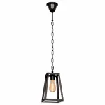 Подвесной светильник Loft it 110 LOFT1127 Цвет арматуры черный Цвет плафонов прозрачный от ImperiumLoft