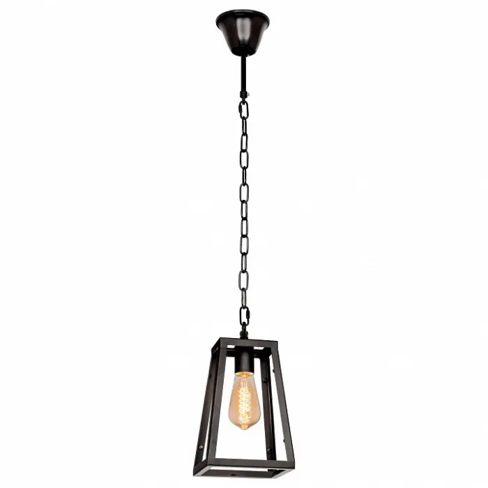 Подвесной светильник Loft it 110 LOFT1127 Цвет арматуры черный Цвет плафонов прозрачный от ImperiumLoft