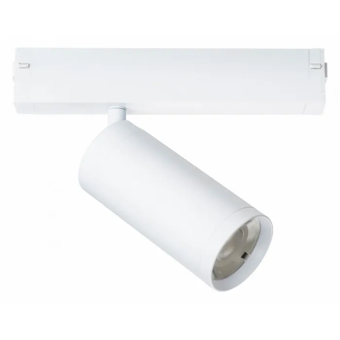 Светильник на штанге Lightstar Teta 205036 от ImperiumLoft