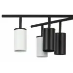 Потолочная люстра Lightstar Rullo LR728364374