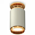 Накладной светильник Ambrella Techno Spot 244 XS6314121 Цвет арматуры золото Цвет плафонов серебро