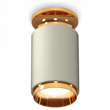 Накладной светильник Ambrella Techno Spot 244 XS6314121 Цвет арматуры золото Цвет плафонов серебро