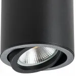 Накладной светильник Lightstar Rullo 214407 Цвет арматуры Черный Цвет плафонов Черный