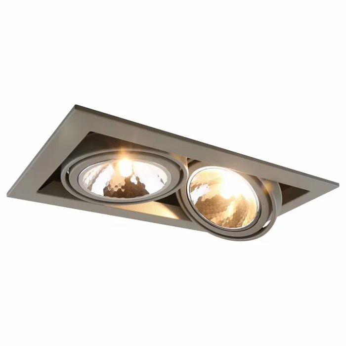 Встраиваемый светильник Arte Lamp Cardani A5949PL-2GY Цвет арматуры серый Цвет плафонов прозрачный от ImperiumLoft