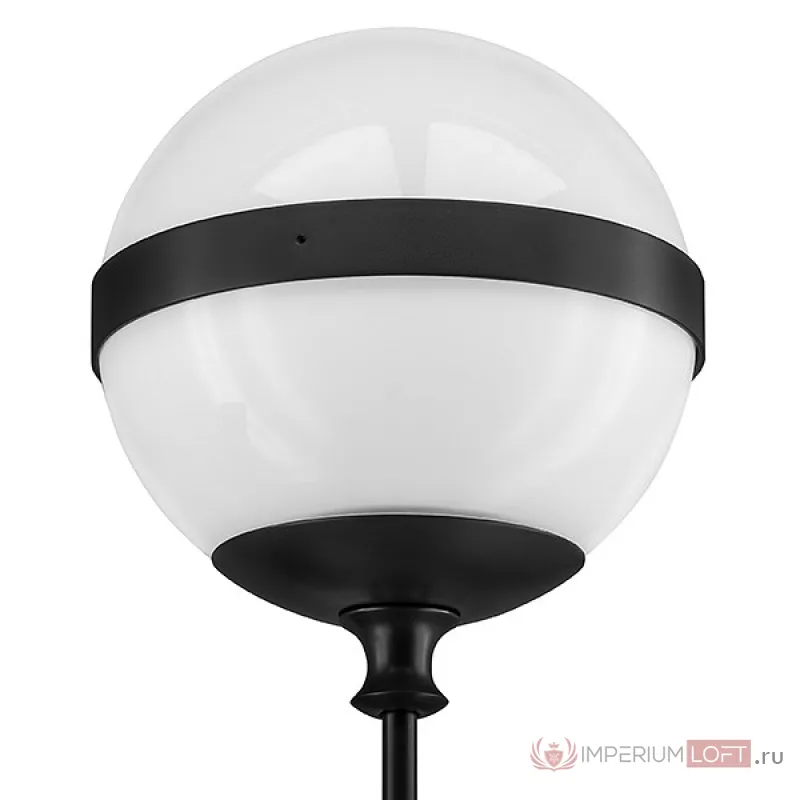 Бра Lightstar Globo 813617 Цвет арматуры черный Цвет плафонов черно-белый от ImperiumLoft
