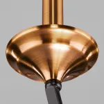 Подвесная люстра Eurosvet Lazzaro 60098/5 черный Цвет арматуры черный Цвет плафонов черный от ImperiumLoft