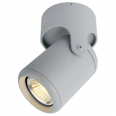 Светильник на штанге Arte Lamp 3316 A3316PL-1GY Цвет арматуры серый Цвет плафонов серый