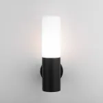 Светильник на штанге Elektrostandard 1419 a049717 Цвет плафонов белый Цвет арматуры черный