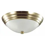 Накладной светильник Lumion Kayla 5262/2C
