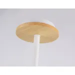 Люстра на штанге Ambrella TR TR80166