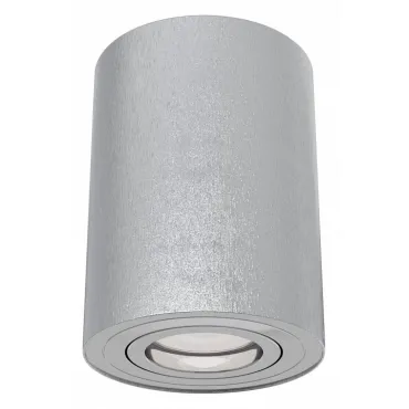Накладной светильник Maytoni Alfa C016CL-01S Цвет арматуры серебро