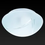 Потолочный светильник TopLight Alicia TL9440Y-02WH 