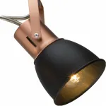 Спот Arte Lamp 1677 A1677PL-4BK Цвет арматуры бронза Цвет плафонов черный