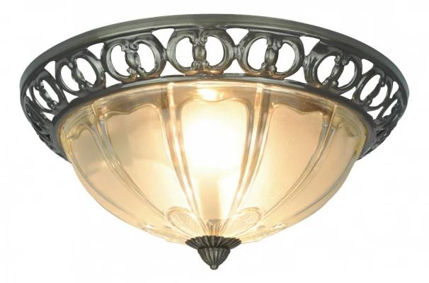 Потолочный светильник Arte Lamp Porch A1306PL-2AB 