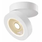 Накладной светильник Maytoni Alivar C022CL-L12W Цвет арматуры белый Цвет плафонов белый от ImperiumLoft