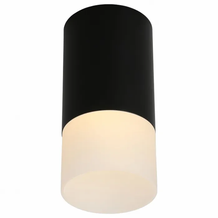 Накладной светильник Omnilux Lucido OML-100619-01 от ImperiumLoft