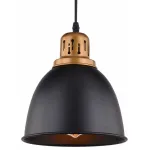 Подвесной светильник Arte Lamp Eurica A4245SP-1BK 