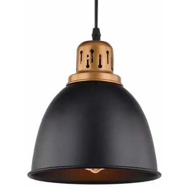 Подвесной светильник Arte Lamp Eurica A4245SP-1BK Цвет арматуры черный Цвет плафонов черный