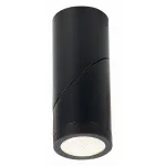Светильник на штанге ST-Luce ST650 ST650.432.10 от ImperiumLoft