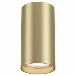 Накладной светильник Maytoni Focus S C052CL-01MG Цвет арматуры латунь Цвет плафонов латунь от ImperiumLoft