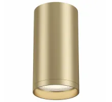 Потолочный светильник Technical C052CL-01MG