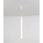 Подвесной светильник Maytoni Ray P022PL-L10W