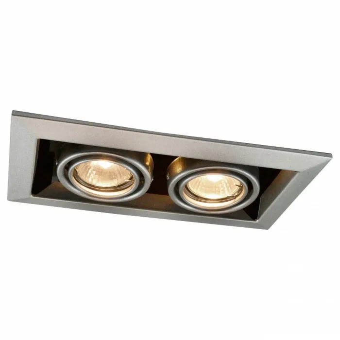 Встраиваемый светильник Arte Lamp Technika A5941PL-2SI Цвет арматуры серебро Цвет плафонов серебро от ImperiumLoft