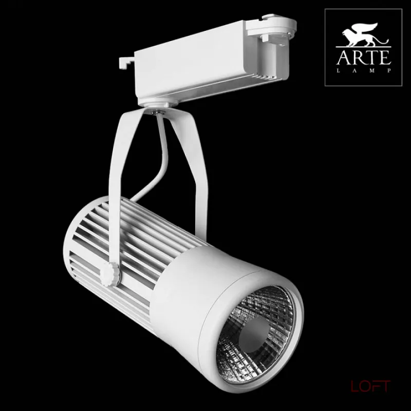 Светильник на штанге Arte Lamp Track Lights A6330PL-1WH Цвет арматуры белый Цвет плафонов белый от ImperiumLoft