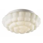 Потолочный светильник Arte Lamp Aqua A5130PL-2WH