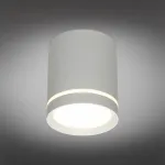 Накладной светильник Omnilux Capurso OML-102429-05