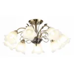Потолочная люстра Rivoli Giardino S8 AB Б0038453 