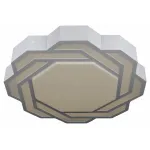Потолочный светильник Omnilux Daren OML-43607-59 