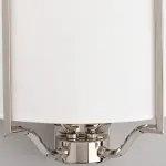 Накладной светильник Aployt Kamila APL.727.01.02 Цвет арматуры никель Цвет плафонов белый от ImperiumLoft