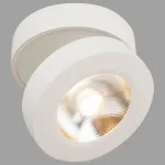 Накладной светильник Maytoni Alivar C022CL-L12W Цвет арматуры белый Цвет плафонов белый от ImperiumLoft