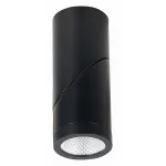 Светильник на штанге ST-Luce ST650 ST650.432.10 от ImperiumLoft