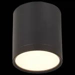 Накладной светильник ST-Luce Rene ST113.432.05 Цвет арматуры черный Цвет плафонов черный