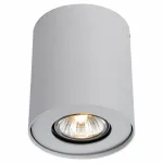 Накладной светильник Arte Lamp Falcon A5633PL-1WH Цвет арматуры белый Цвет плафонов прозрачный от ImperiumLoft