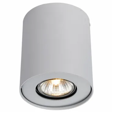 Накладной светильник Arte Lamp Falcon A5633PL-1WH Цвет арматуры белый Цвет плафонов прозрачный