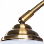 Торшер Arte Lamp Paolo A5823PN-1PB Цвет арматуры Коричневый Цвет плафонов Белый