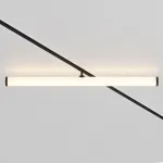 Трековый светильник Maytoni Larc TR086-2-25W3K-B