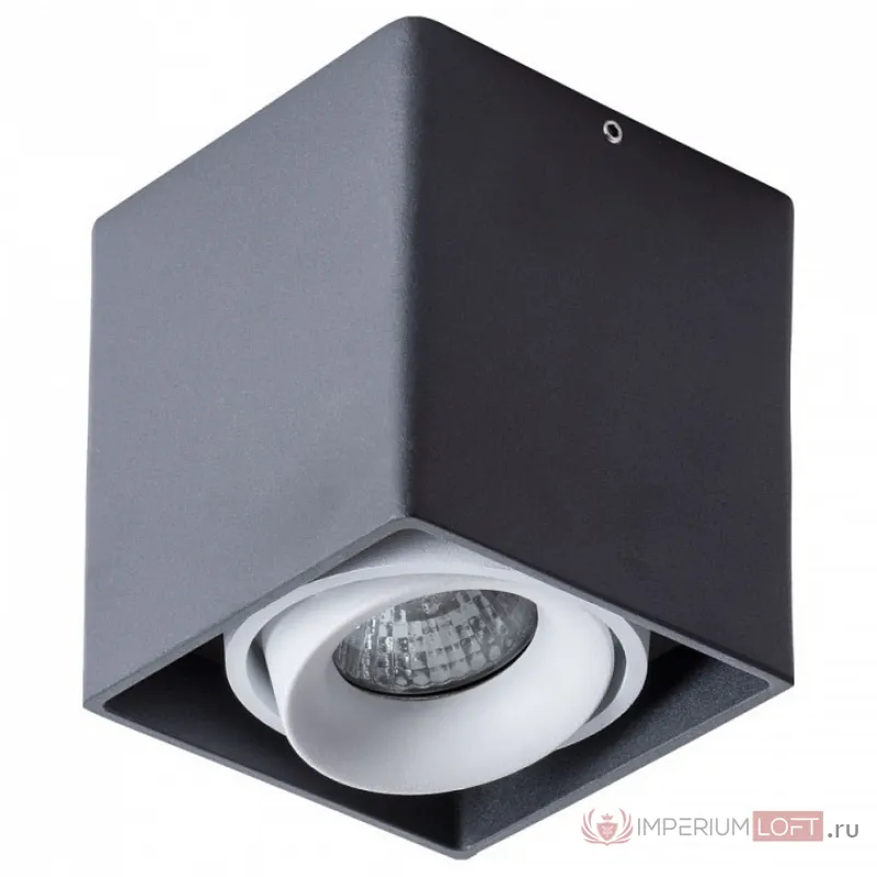 Накладной светильник Arte Lamp Pictor A5654PL-1BK от ImperiumLoft