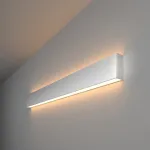 Накладной светильник Elektrostandard 101-100-40-78 a041477 Цвет арматуры серебро от ImperiumLoft